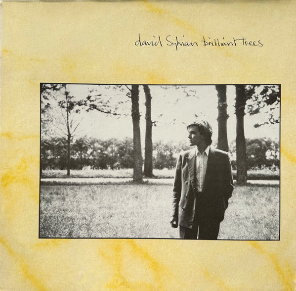 David Sylvian – Brilliant Trees (LP) (D80)