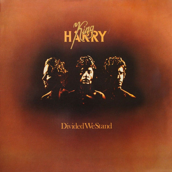 King Harry – Divided We Stand (LP) (D40)
