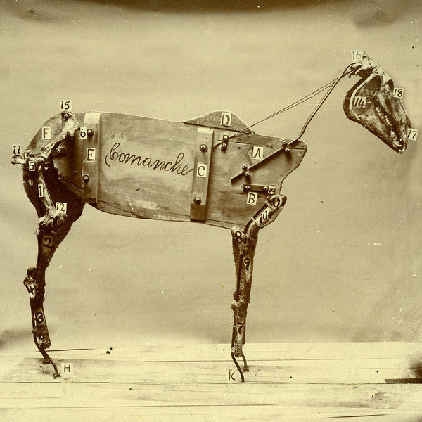 Chadwick Stokes – The Horse Comanche (LP+CD) (G50)