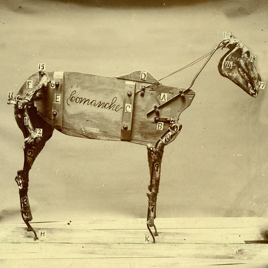Chadwick Stokes – The Horse Comanche (LP+CD) (G50)