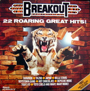 Various – Breakout (LP) (L20)