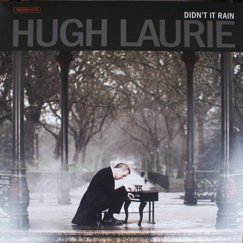 Hugh Laurie – Didn't It Rain (2LP) (G20)