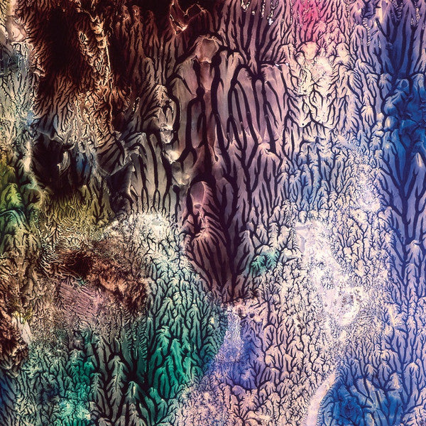 The Womb - The Womb (LP) (D10)