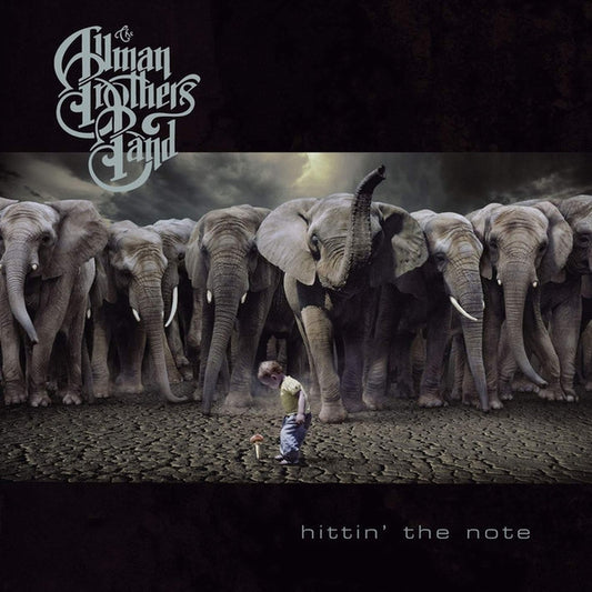 Allman Brothers Band – Hittin' The Note (2LP) (H20)
