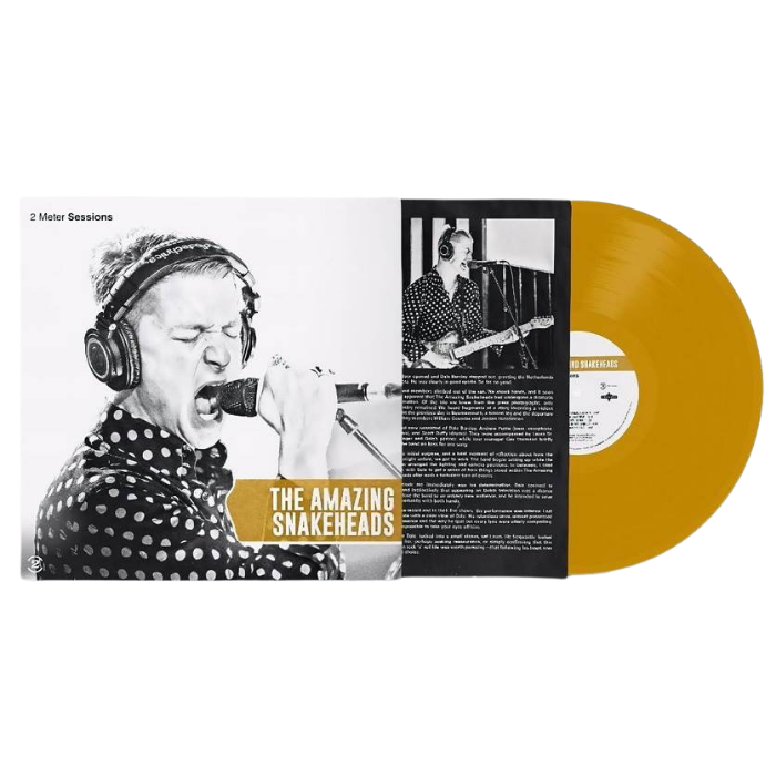 The Amazing Snakeheads - 2 Meter Sessions (LP)
