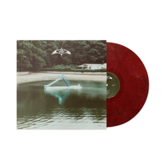 The Bird Experience - The Bird Experience (LP)