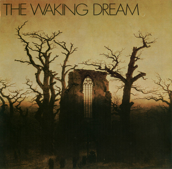 Various ‎– The Waking Dream (LP) H70