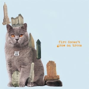 Brian Jonestown Massacre - Fire Doesn't Grow On Trees (LP) - Bob's Vinyl