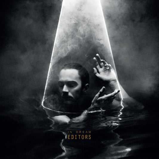 Editors – In Dream (LP)