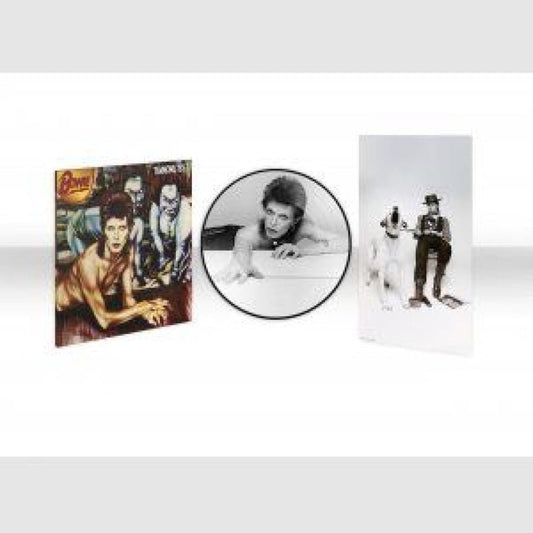 David Bowie - Diamond Dogs (PICTURE DISC) - Bob's Vinyl