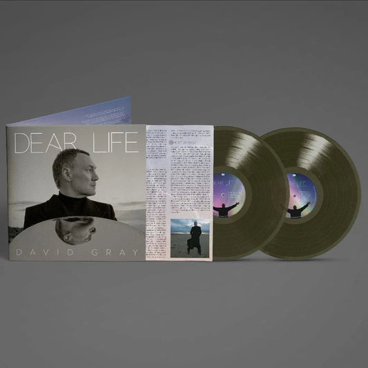 David Gray - Dear Life - Green - (2LP) - Bob's Vinyl