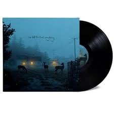 Dermot Kennedy - I've Told the Trees Everything(LP) - Bob's Vinyl