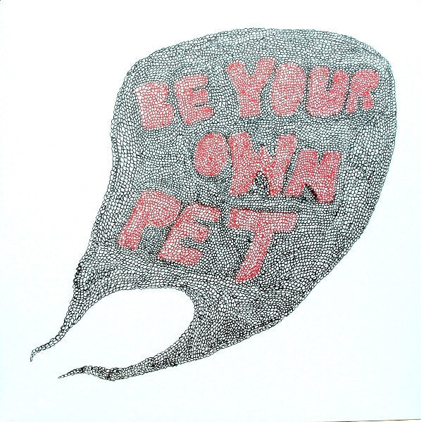 Be Your Own Pet – Be Your Own Pet (LP) C40