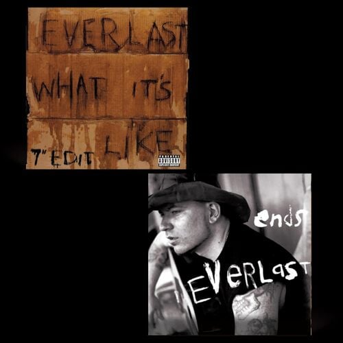 Everlast - What It's Like/Ends (7" single)