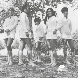 Female Species - Tale of My Lost Love (LP) - Bob's Vinyl