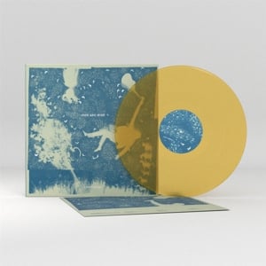 Iron & Wine - Light Verse (LP) - Bob's Vinyl