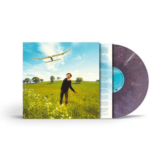 James Blunt - Who We Used To Be (LP) - Bob's Vinyl