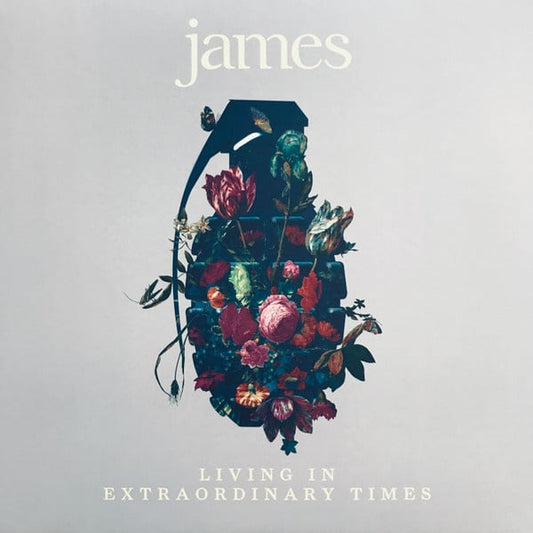 James – Living In Extraordinary Times (2LP) H30 - Bob's Vinyl