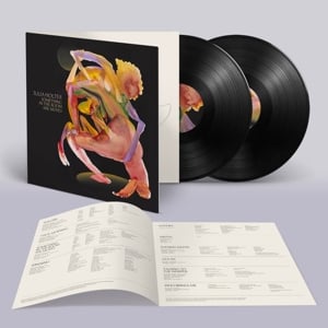Julia Holter - Something In the Room She Moves (2LP) - Bob's Vinyl