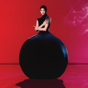 Rina Sawayama ‎– Hold the Girl (LP) - Bob's Vinyl