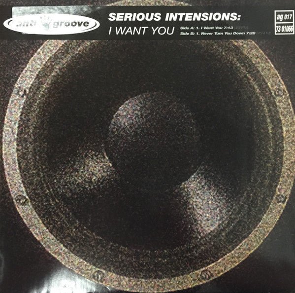 Serious Intensions – I Want You (12" Single) T20 - Bob's Vinyl