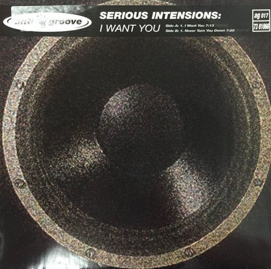 Serious Intensions – I Want You (12" Single) T20 - Bob's Vinyl