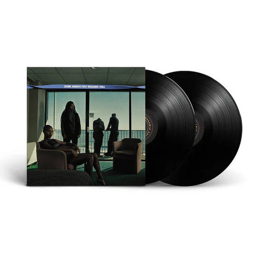 Skunk Anansie - Post Orgasmic Chill (2LP) - Bob's Vinyl