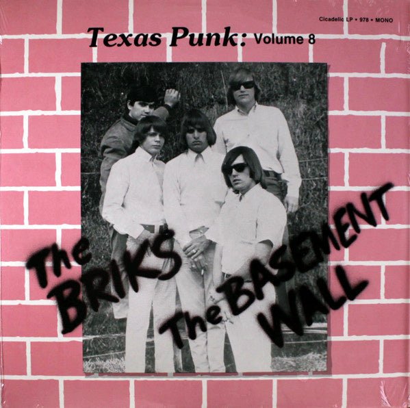 The Briks / The Basement Wall – Texas Punk: Volume 8 (LP) G70 - Bob's Vinyl
