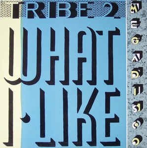 Tribe 2 ‎– What I Like (12" Single) T20 - Bob's Vinyl